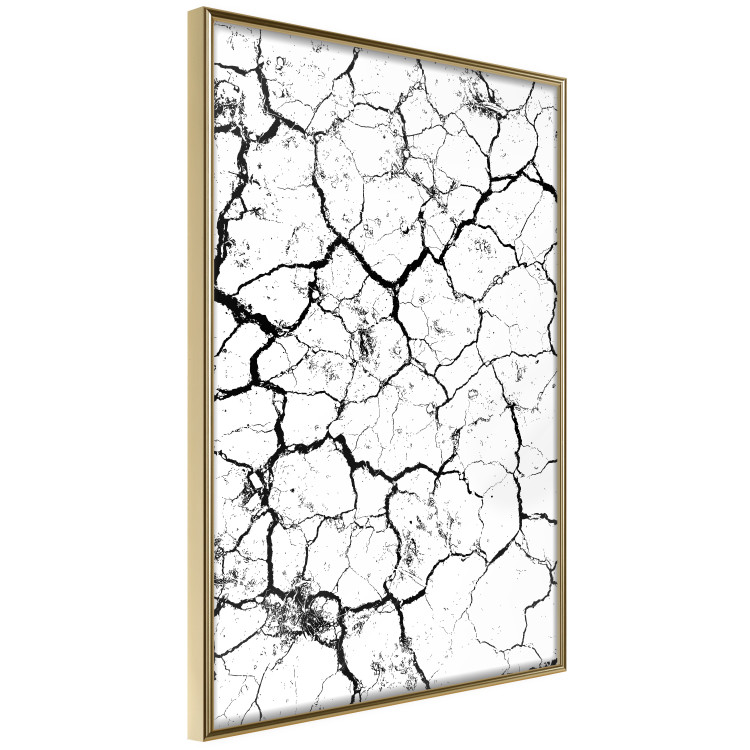 Wall Poster Cracked earth - black and white composition with irregular texture 115075 additionalImage 13