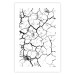 Wall Poster Cracked earth - black and white composition with irregular texture 115075 additionalThumb 19