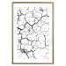 Wall Poster Cracked earth - black and white composition with irregular texture 115075 additionalThumb 14