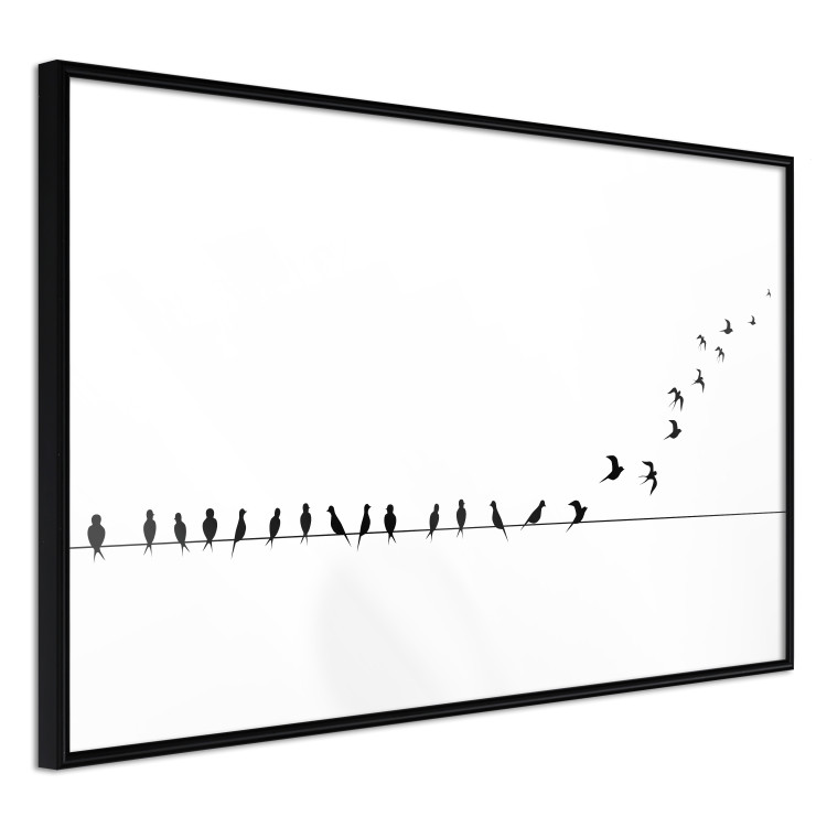 Wall Poster Let's Fly! - black and white composition with sitting and flying birds 115175 additionalImage 10