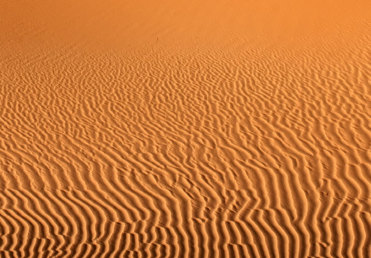 Canvas Print Desert dune - a single-color, minimalist landscape with sand 116475 additionalImage 5