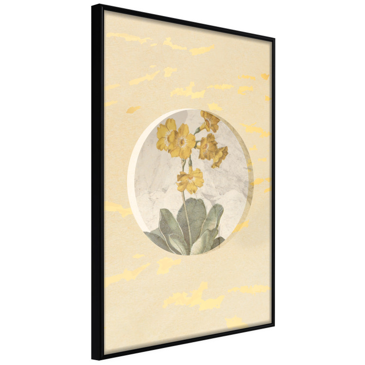 Poster Flower in Circle - plant composition on a background in shades of yellow and gold 116675 additionalImage 12