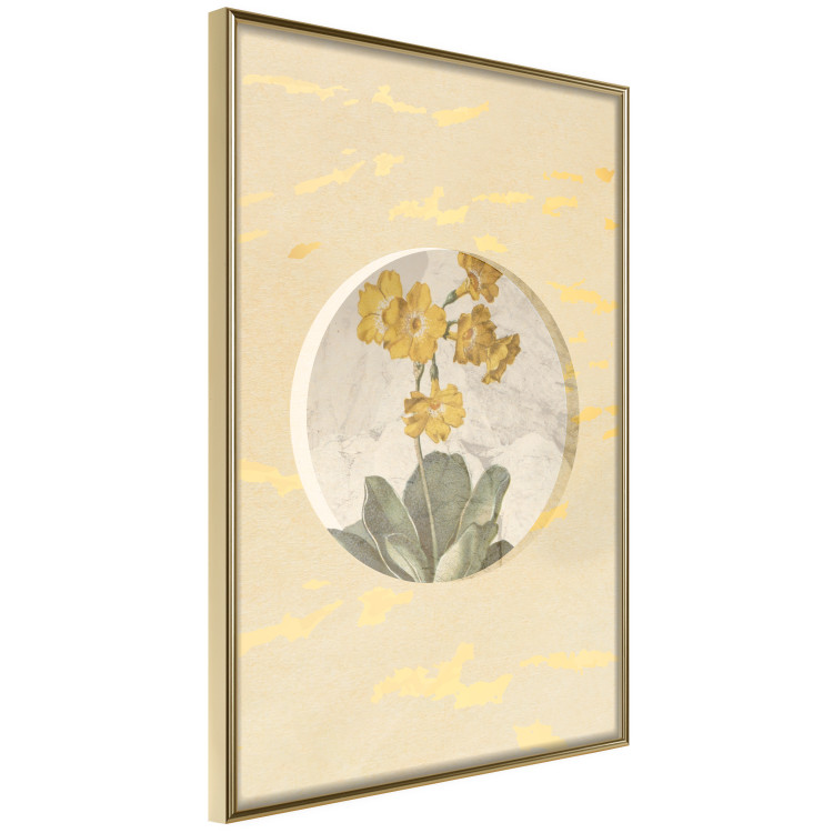 Poster Flower in Circle - plant composition on a background in shades of yellow and gold 116675 additionalImage 12