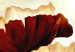 Canvas Shining Poppies (3 Parts) 116775 additionalThumb 5