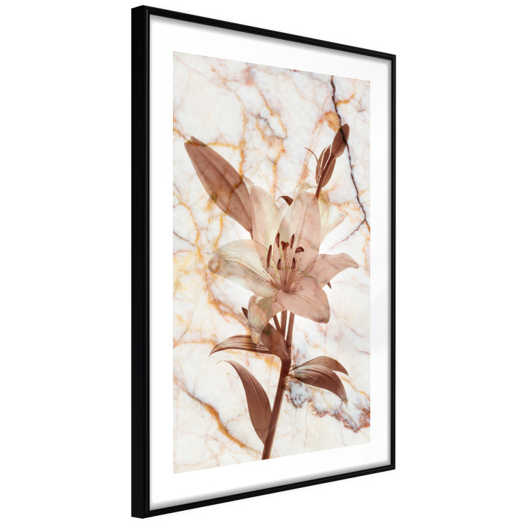 Poster Milan Lily - botanical composition with a flower on a marble background 118275 additionalImage 13