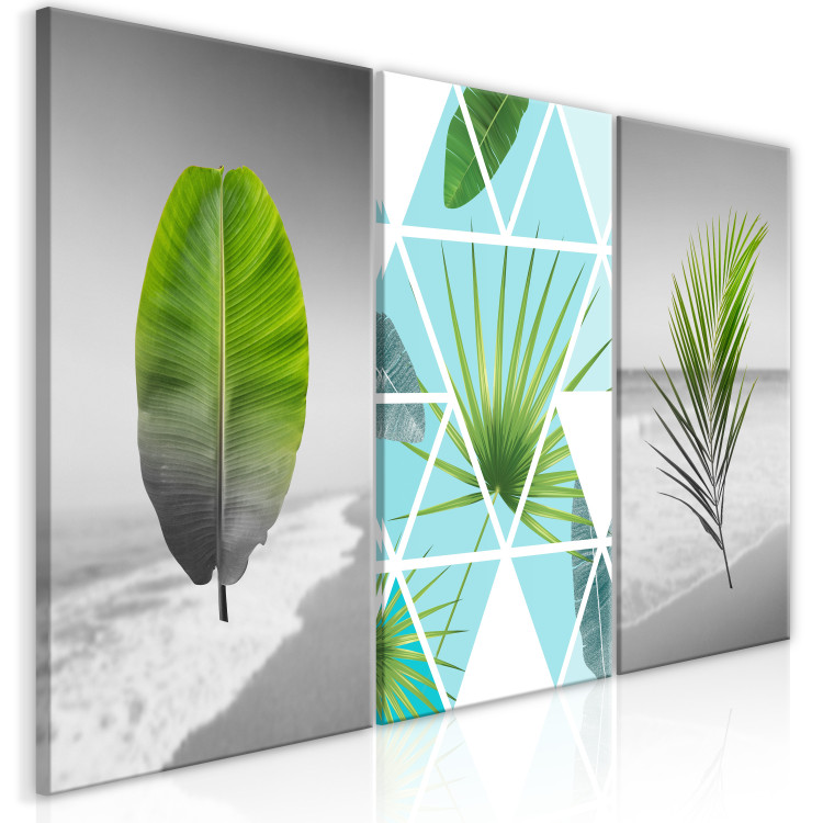 Canvas Leaves on the Beach (3 Parts) 118475 additionalImage 2
