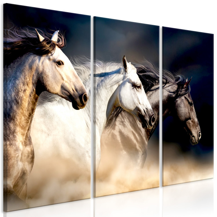 Canvas Print Sons of the Wind (3 Parts) 121975 additionalImage 2