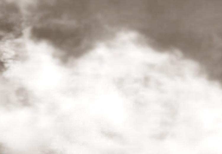 Canvas Clouds of time - artistic black and white photo of the clouded skies 122675 additionalImage 5