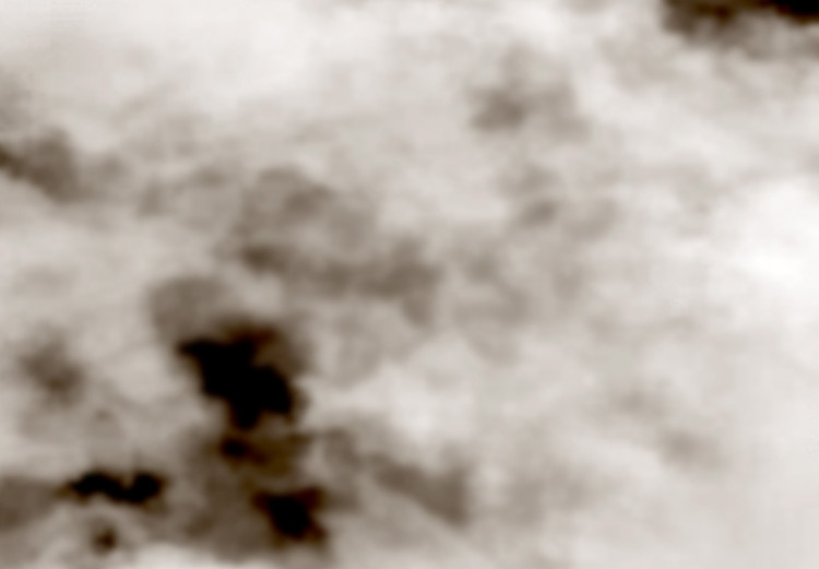 Canvas Clouds of time - artistic black and white photo of the clouded skies 122675 additionalImage 4