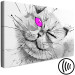 Canvas Art Print Grey cat with a pink eye - animal theme in grey colours 123375 additionalThumb 6