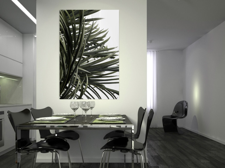 Wall Poster In the Shade of Palms - natural leaves of tropical plant on white background 123675 additionalImage 23