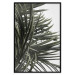 Wall Poster In the Shade of Palms - natural leaves of tropical plant on white background 123675 additionalThumb 24