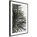 Wall Poster In the Shade of Palms - natural leaves of tropical plant on white background 123675 additionalThumb 11