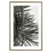 Wall Poster In the Shade of Palms - natural leaves of tropical plant on white background 123675 additionalThumb 16