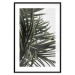 Wall Poster In the Shade of Palms - natural leaves of tropical plant on white background 123675 additionalThumb 17