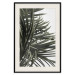 Wall Poster In the Shade of Palms - natural leaves of tropical plant on white background 123675 additionalThumb 18