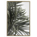 Wall Poster In the Shade of Palms - natural leaves of tropical plant on white background 123675 additionalThumb 20