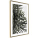 Wall Poster In the Shade of Palms - natural leaves of tropical plant on white background 123675 additionalThumb 6