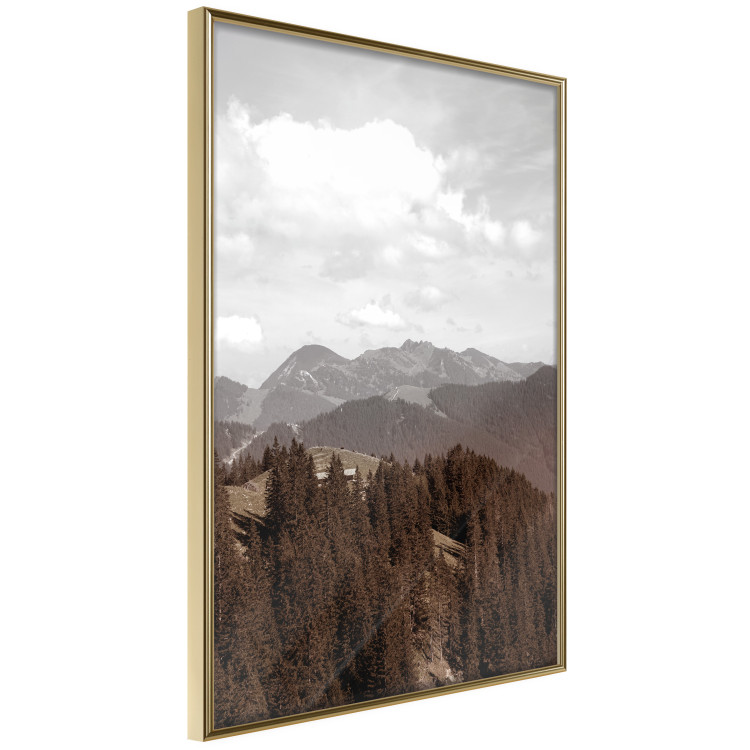 Wall Poster Landscape - valley landscape with dense forest against mountains and cloudy sky 124475 additionalImage 13