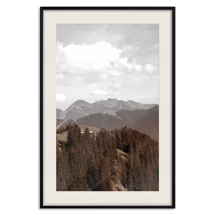 Wall Poster Landscape - valley landscape with dense forest against mountains and cloudy sky 124475 additionalImage 18