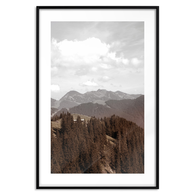 Wall Poster Landscape - valley landscape with dense forest against mountains and cloudy sky 124475 additionalImage 15