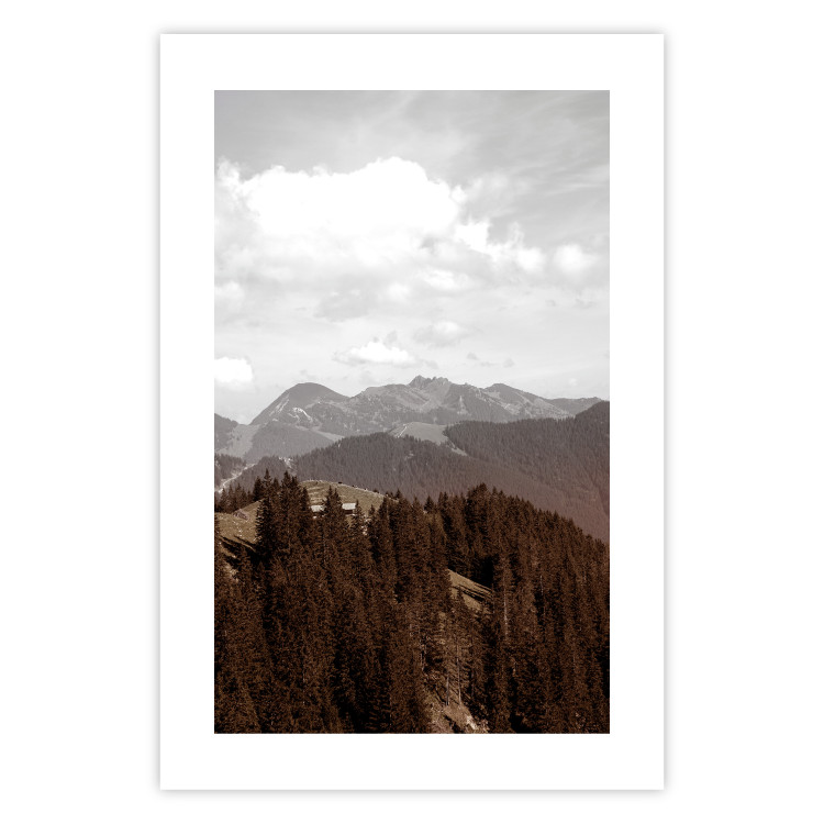 Wall Poster Landscape - valley landscape with dense forest against mountains and cloudy sky 124475 additionalImage 19