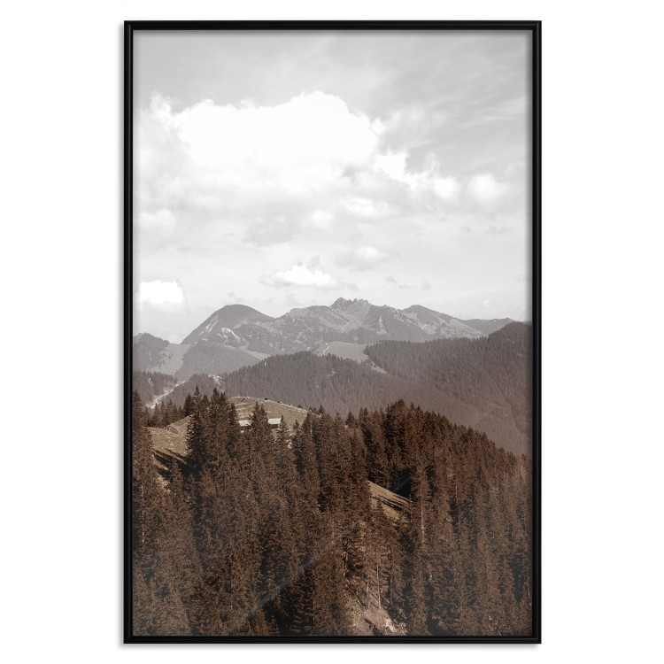 Wall Poster Landscape - valley landscape with dense forest against mountains and cloudy sky 124475 additionalImage 24