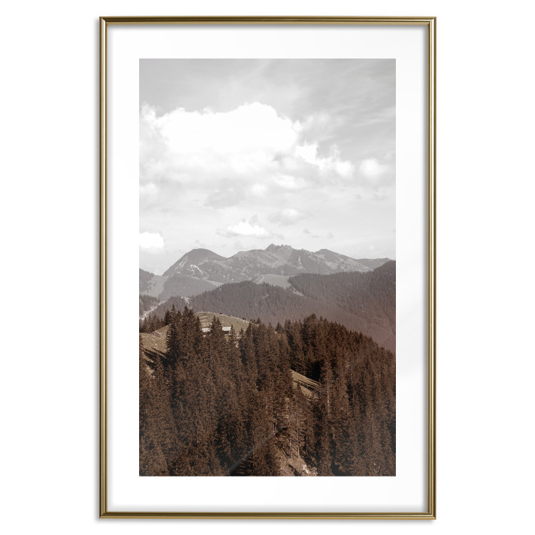 Wall Poster Landscape - valley landscape with dense forest against mountains and cloudy sky 124475 additionalImage 16