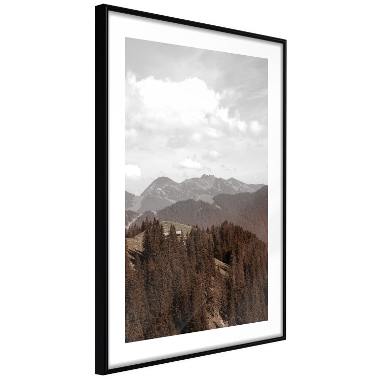 Wall Poster Landscape - valley landscape with dense forest against mountains and cloudy sky 124475 additionalImage 12