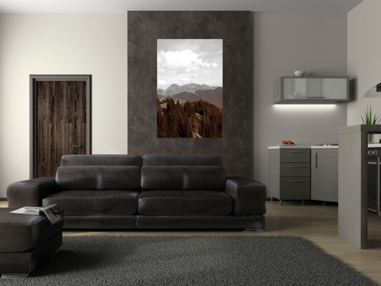 Wall Poster Landscape - valley landscape with dense forest against mountains and cloudy sky 124475 additionalImage 17