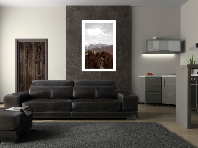Wall Poster Landscape - valley landscape with dense forest against mountains and cloudy sky 124475 additionalImage 6