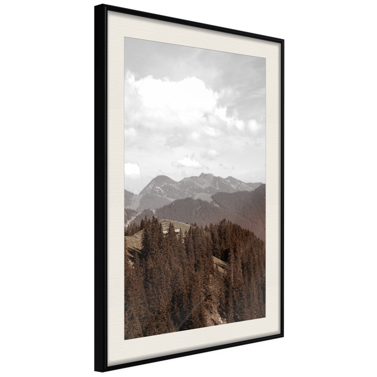 Wall Poster Landscape - valley landscape with dense forest against mountains and cloudy sky 124475 additionalImage 14
