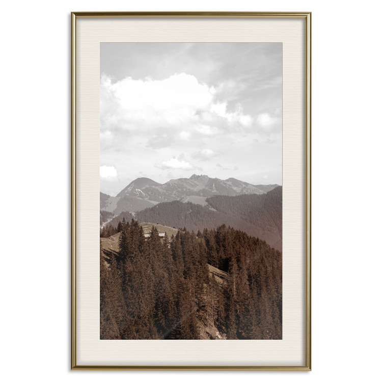 Wall Poster Landscape - valley landscape with dense forest against mountains and cloudy sky 124475 additionalImage 19