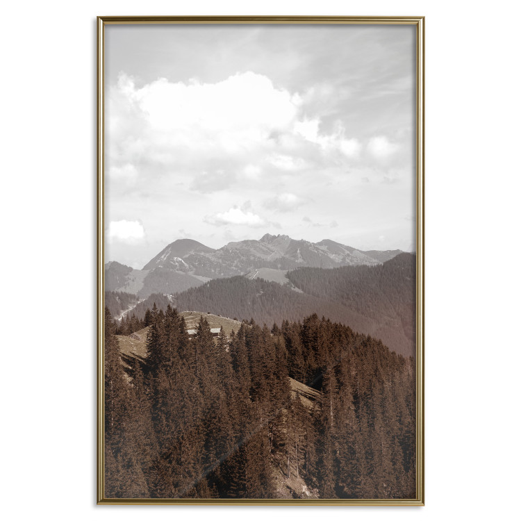 Wall Poster Landscape - valley landscape with dense forest against mountains and cloudy sky 124475 additionalImage 16
