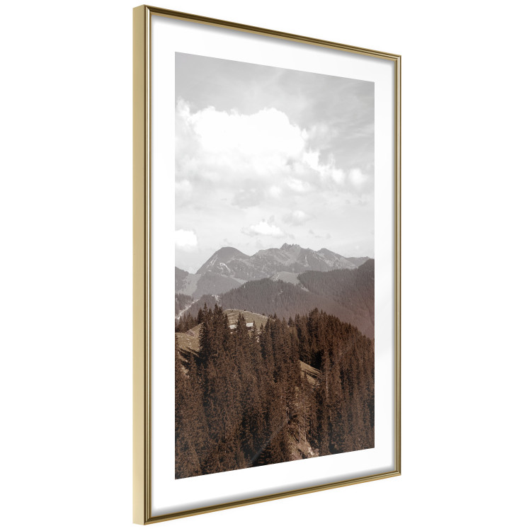 Wall Poster Landscape - valley landscape with dense forest against mountains and cloudy sky 124475 additionalImage 11