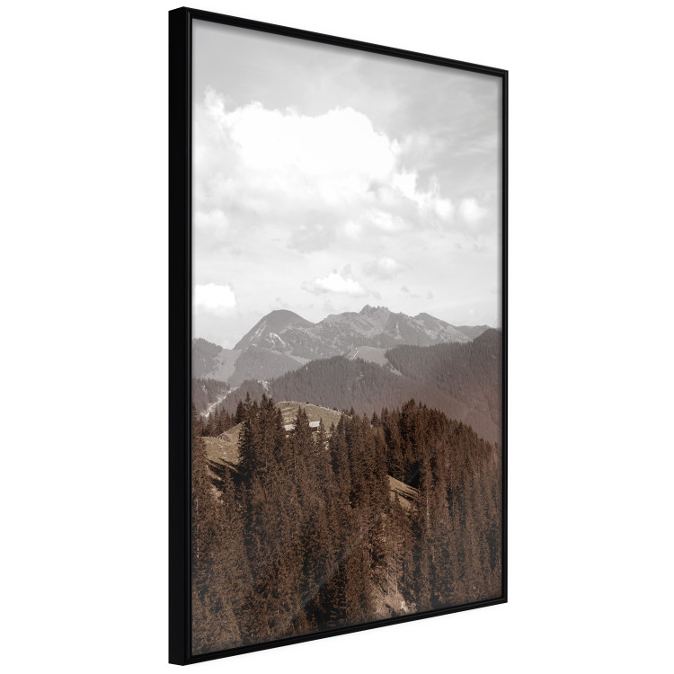 Wall Poster Landscape - valley landscape with dense forest against mountains and cloudy sky 124475 additionalImage 2