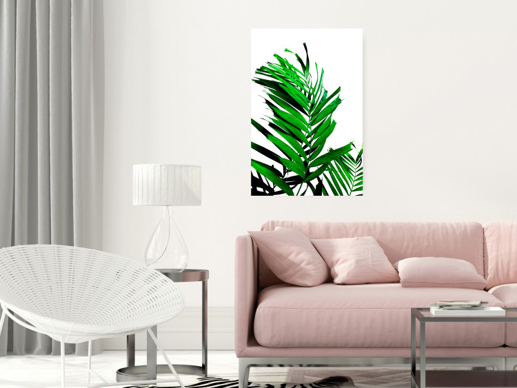 Poster Juicy Leaf - green leaf of a plant on a contrasting white background 125175 additionalImage 23