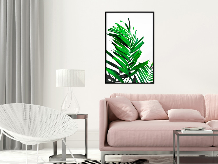 Poster Juicy Leaf - green leaf of a plant on a contrasting white background 125175 additionalImage 5
