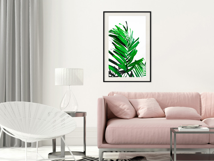 Poster Juicy Leaf - green leaf of a plant on a contrasting white background 125175 additionalImage 22