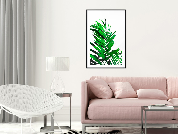 Poster Juicy Leaf - green leaf of a plant on a contrasting white background 125175 additionalImage 6