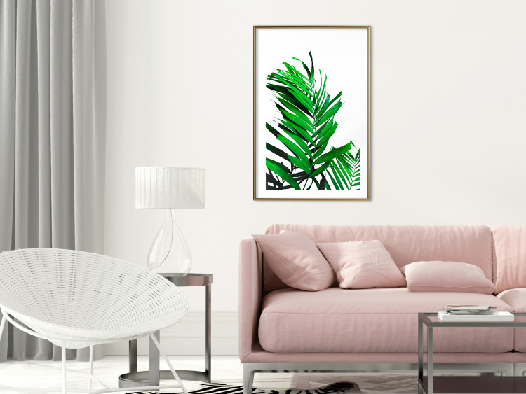 Poster Juicy Leaf - green leaf of a plant on a contrasting white background 125175 additionalImage 15