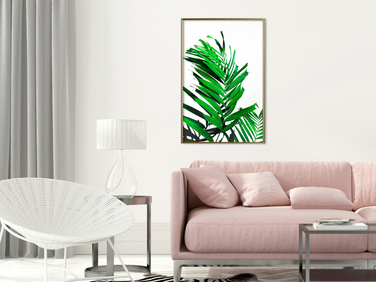 Poster Juicy Leaf - green leaf of a plant on a contrasting white background 125175 additionalImage 7