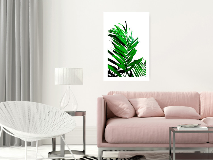 Poster Juicy Leaf - green leaf of a plant on a contrasting white background 125175 additionalImage 4