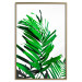 Poster Juicy Leaf - green leaf of a plant on a contrasting white background 125175 additionalThumb 20