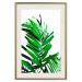 Poster Juicy Leaf - green leaf of a plant on a contrasting white background 125175 additionalThumb 19