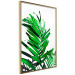 Poster Juicy Leaf - green leaf of a plant on a contrasting white background 125175 additionalThumb 14