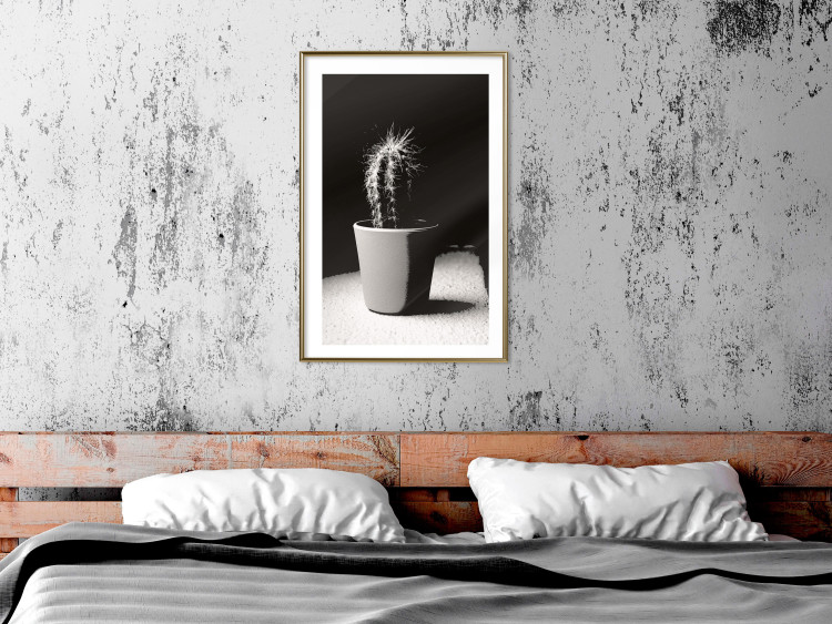 Poster Disheveled Cactus - black and white photograph of a tropical cactus 125275 additionalImage 15