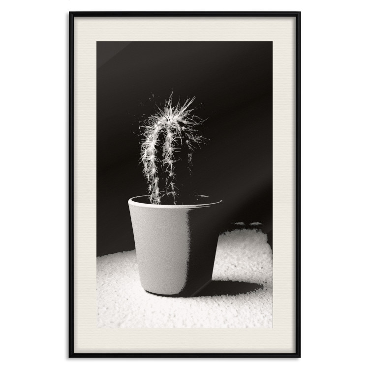 Poster Disheveled Cactus - black and white photograph of a tropical cactus 125275 additionalImage 18