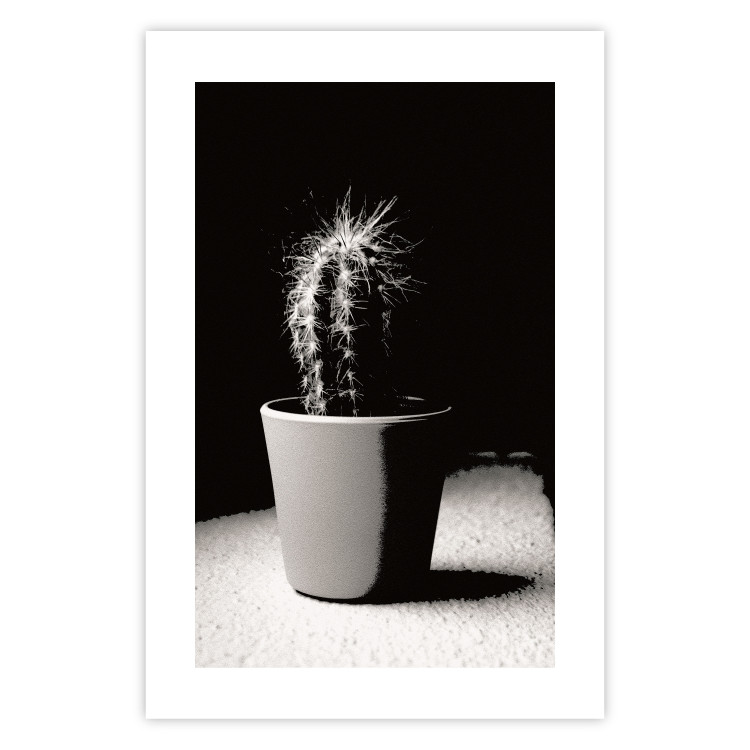 Poster Disheveled Cactus - black and white photograph of a tropical cactus 125275 additionalImage 25