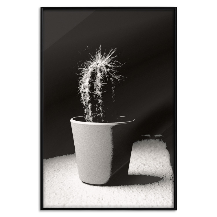 Poster Disheveled Cactus - black and white photograph of a tropical cactus 125275 additionalImage 24